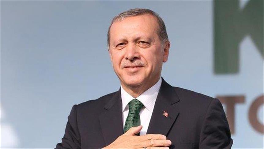 أردوغان : تركيا ودول الخليج 