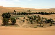 فيحان القصيم مدينة الفصول الأربعة المذنب ... مدينة الجذب السياحي بالمملكة
