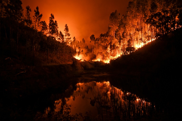 62 قتيلا في حرائق غابات ضخمة تجتاح وسط البرتغال