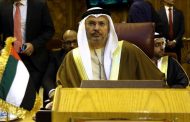 قرقاش: هدفنا هزيمة الحوثيين وسيبقى اليمن بكل ترابه لشعبه